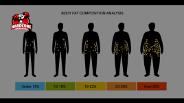 body fat percentage body fat percentage