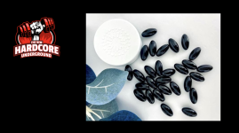 Algae-Based Omega-3 Algae-Based Omega-3