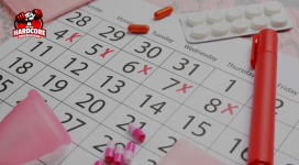 menstrual cycle menstrual cycle